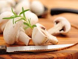 تصویر 2 از خرید عمده کنسرو قارچ دکمه ای 400 گرمی + قیمت استثنایی